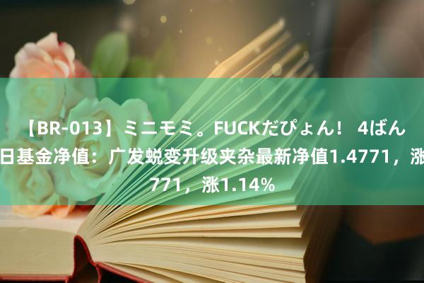 【BR-013】ミニモミ。FUCKだぴょん！ 4ばん 7月26日基金净值：广发蜕变升级夹杂最新净值1.4771，涨1.14%