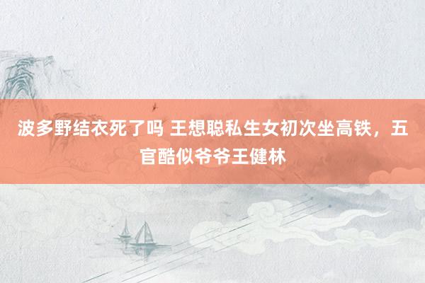 波多野结衣死了吗 王想聪私生女初次坐高铁，五官酷似爷爷王健林