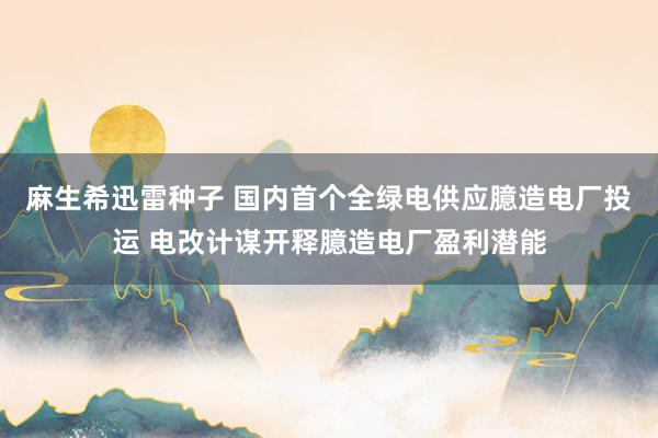 麻生希迅雷种子 国内首个全绿电供应臆造电厂投运 电改计谋开释臆造电厂盈利潜能