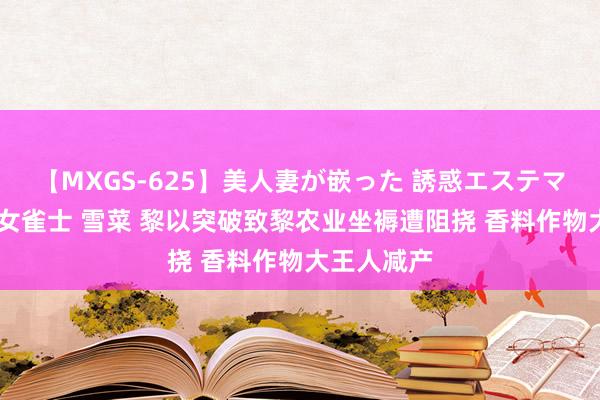 【MXGS-625】美人妻が嵌った 誘惑エステマッサージ 女雀士 雪菜 黎以突破致黎农业坐褥遭阻挠 香料作物大王人减产