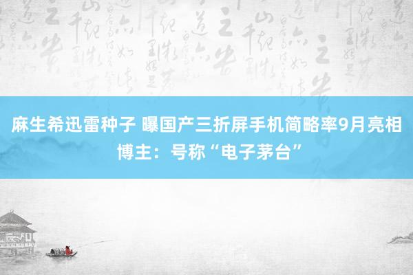 麻生希迅雷种子 曝国产三折屏手机简略率9月亮相 博主：号称“电子茅台”