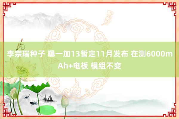 李宗瑞种子 曝一加13暂定11月发布 在测6000mAh+电板 模组不变