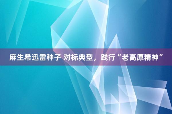 麻生希迅雷种子 对标典型，践行“老高原精神”