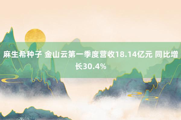 麻生希种子 金山云第一季度营收18.14亿元 同比增长30.4%