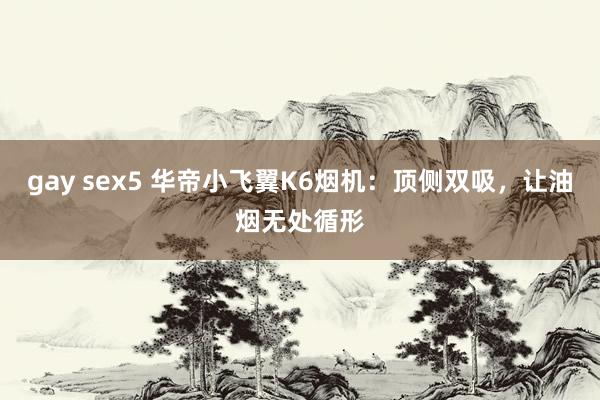 gay sex5 华帝小飞翼K6烟机：顶侧双吸，让油烟无处循形