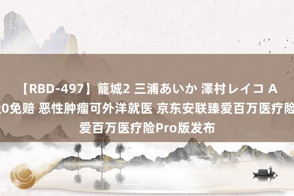 【RBD-497】籠城2 三浦あいか 澤村レイコ ASUKA 升级0免赔 恶性肿瘤可外洋就医 京东安联臻爱百万医疗险Pro版发布