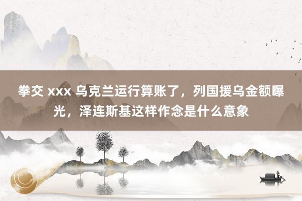 拳交 xxx 乌克兰运行算账了，列国援乌金额曝光，泽连斯基这样作念是什么意象