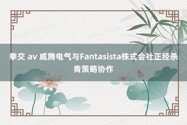 拳交 av 威腾电气与Fantasista株式会社正经杀青策略协作