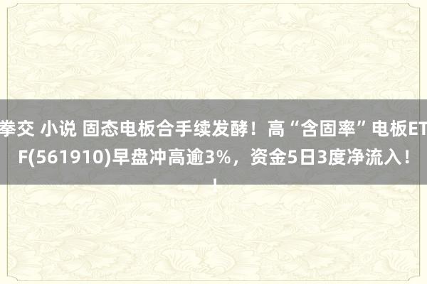 拳交 小说 固态电板合手续发酵！高“含固率”电板ETF(561910)早盘冲高逾3%，资金5日3度净流入！