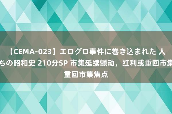 【CEMA-023】エログロ事件に巻き込まれた 人妻たちの昭和史 210分SP 市集延续颤动，红利或重回市集焦点