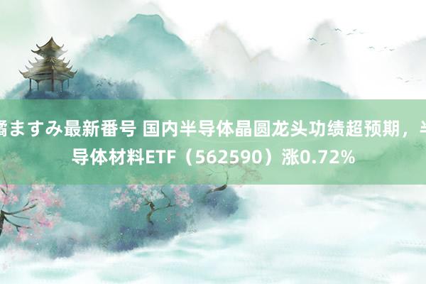 橘ますみ最新番号 国内半导体晶圆龙头功绩超预期，半导体材料ETF（562590）涨0.72%