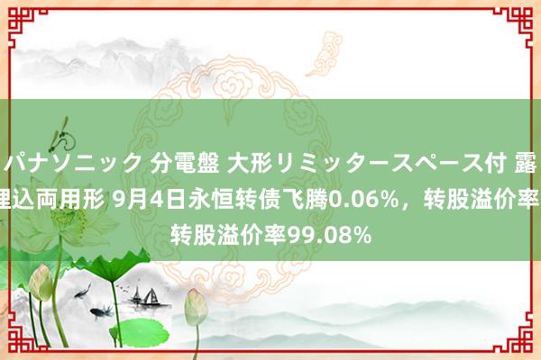 パナソニック 分電盤 大形リミッタースペース付 露出・半埋込両用形 9月4日永恒转债飞腾0.06%，转股溢价率99.08%