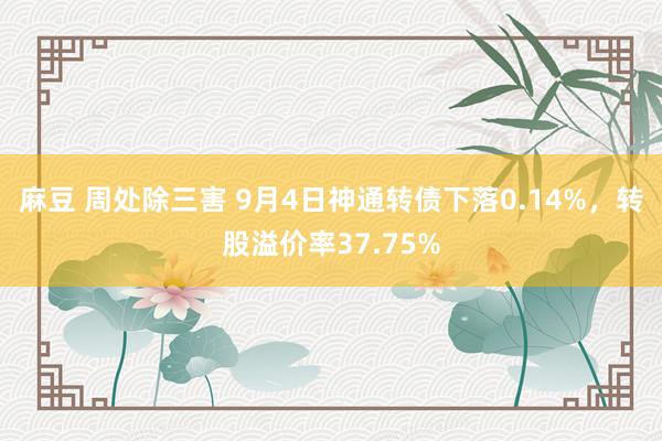 麻豆 周处除三害 9月4日神通转债下落0.14%，转股溢价率37.75%