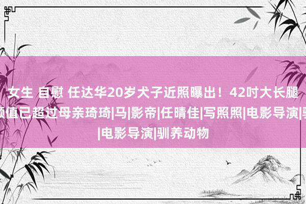 女生 自慰 任达华20岁犬子近照曝出！42吋大长腿逆天，颜值已超过母亲琦琦|马|影帝|任晴佳|写照照|电影导演|驯养动物