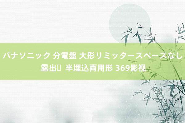 パナソニック 分電盤 大形リミッタースペースなし 露出・半埋込両用形 369影视